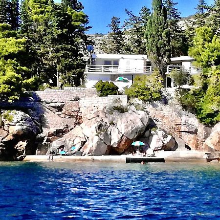 Beach House On The Cliff Zaton  Extérieur photo