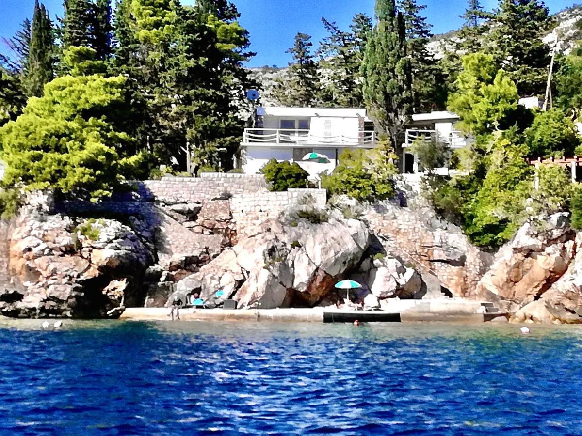 Beach House On The Cliff Zaton  Extérieur photo