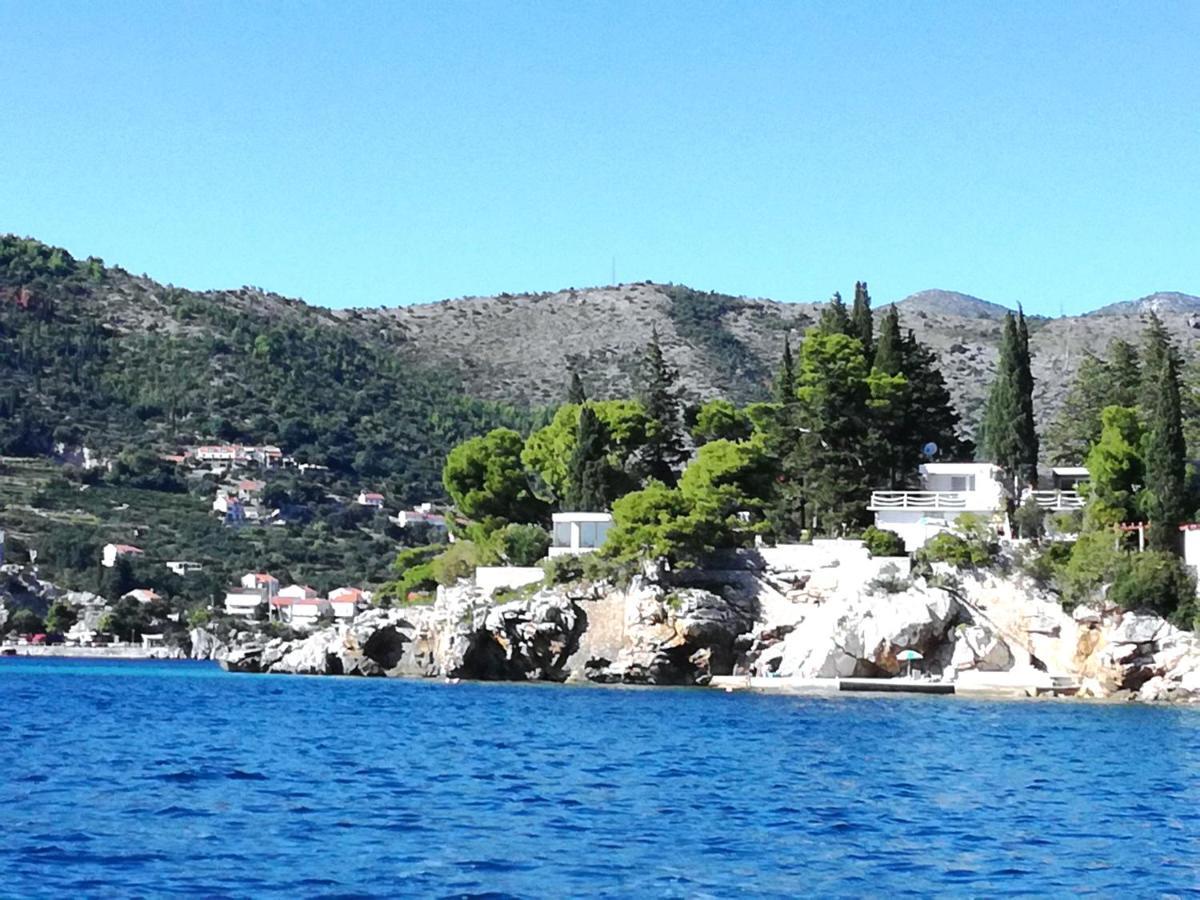 Beach House On The Cliff Zaton  Extérieur photo