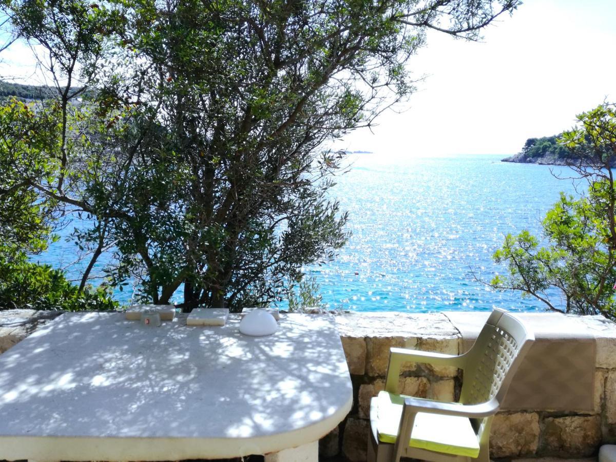 Beach House On The Cliff Zaton  Extérieur photo