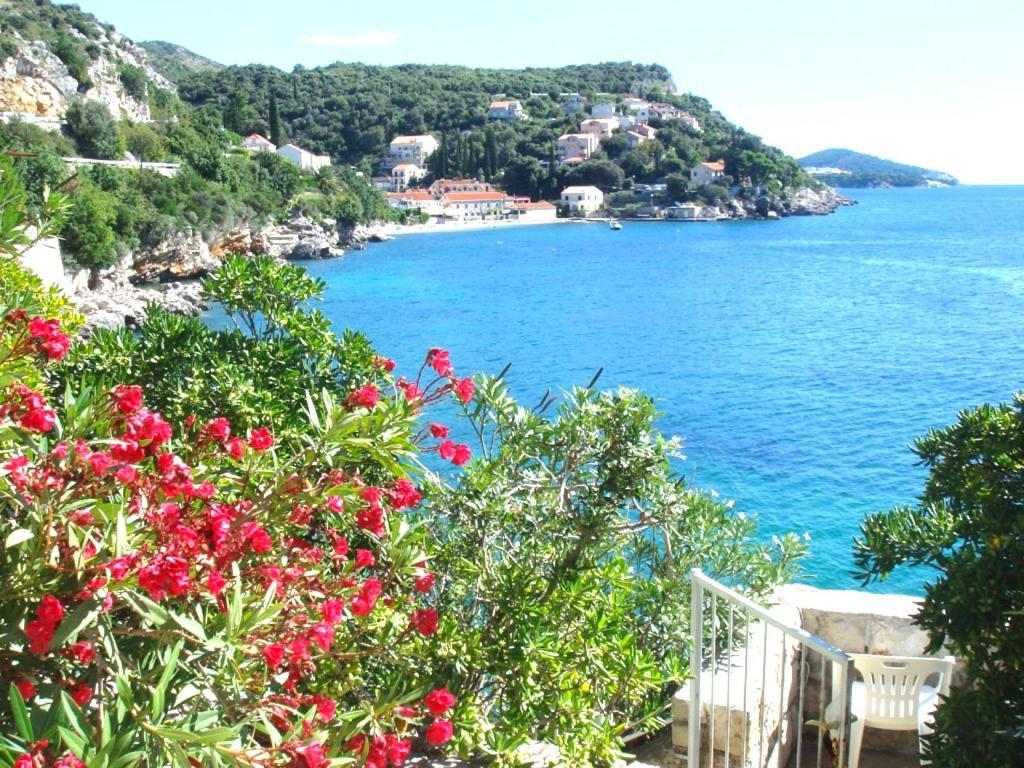 Beach House On The Cliff Zaton  Extérieur photo