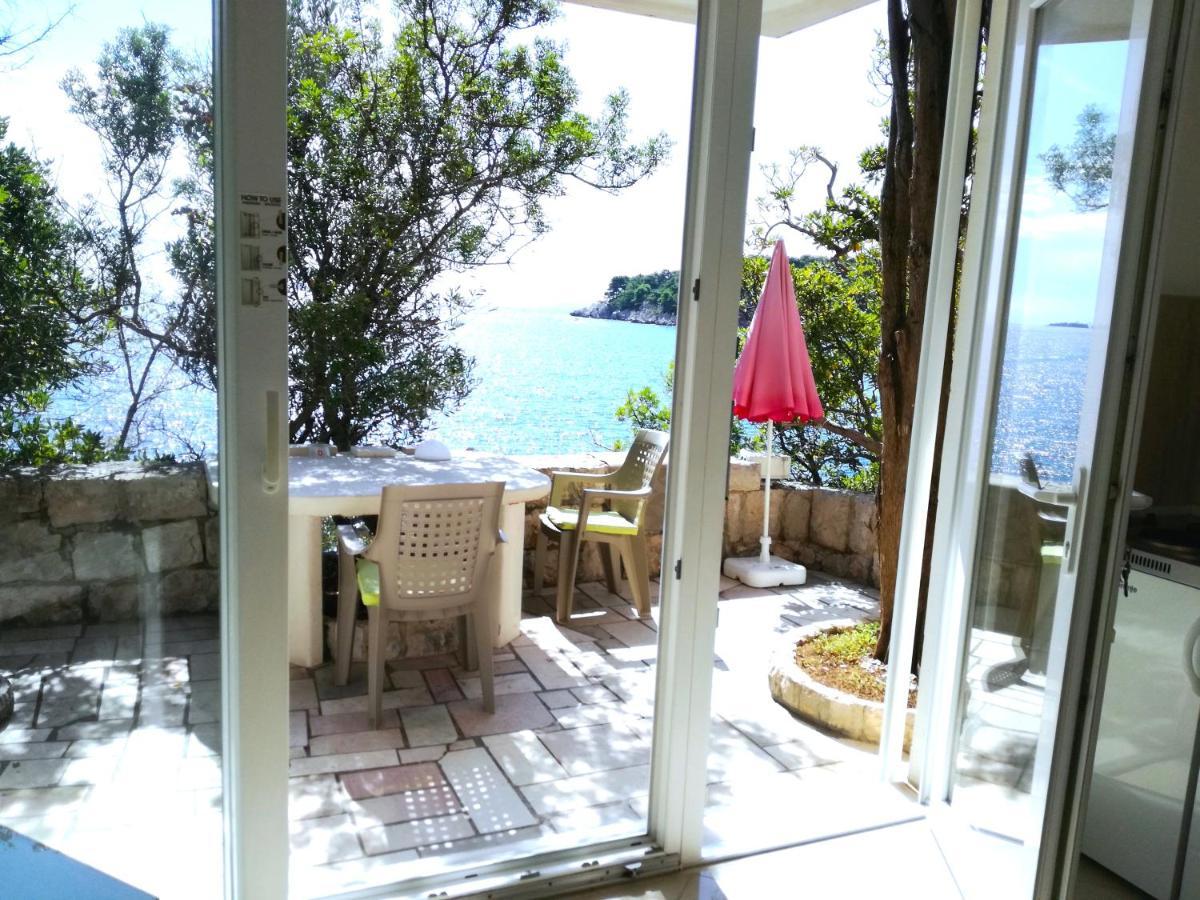 Beach House On The Cliff Zaton  Extérieur photo