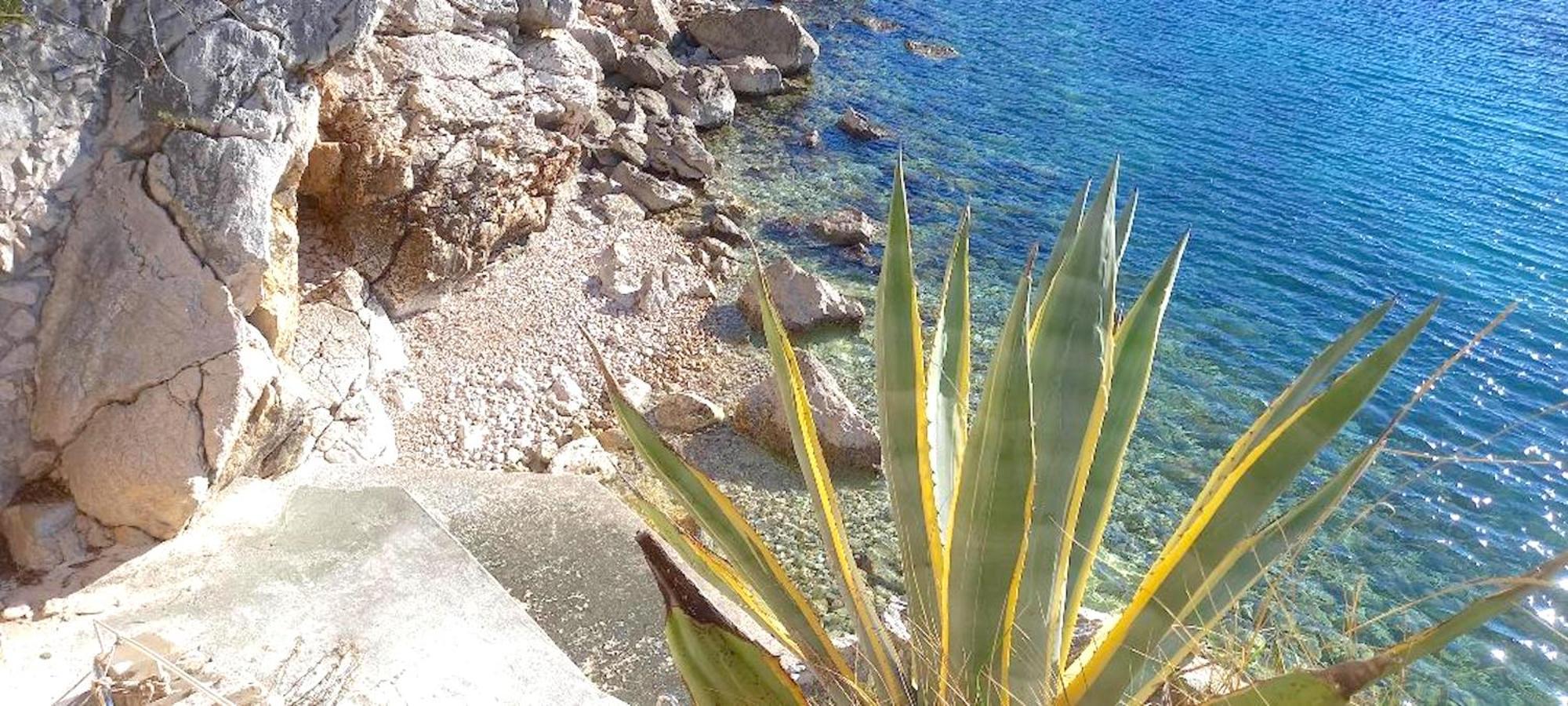 Beach House On The Cliff Zaton  Extérieur photo